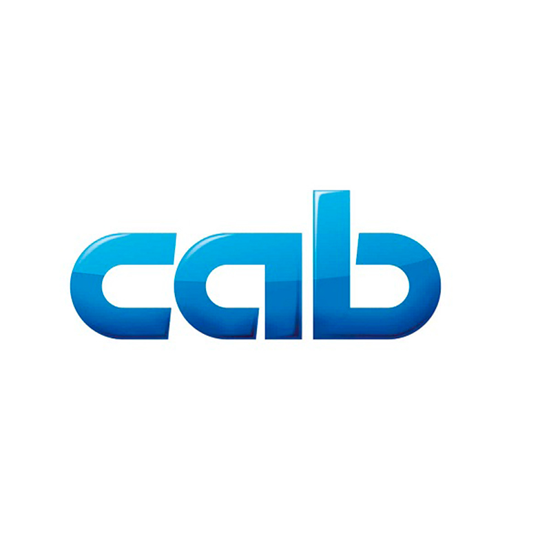 Печатающая головка принтера CAB Mach 4S/300B 300 dpi