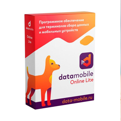 DataMobile Online Lite (на 1, 6, 12 мес и LifeTime)