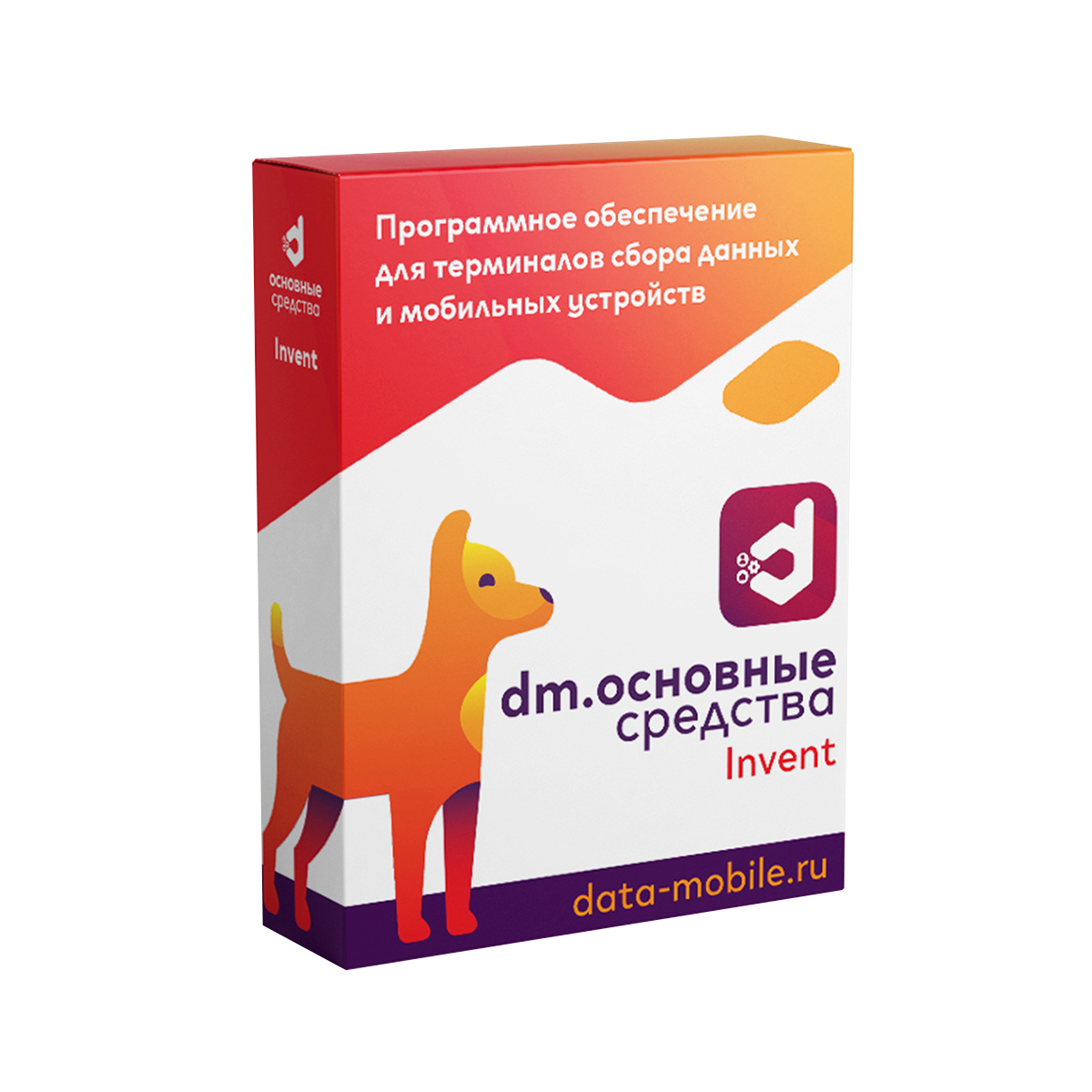 DataMobile Invent (на 1, 6 и 12 месяцев, LifeTime)