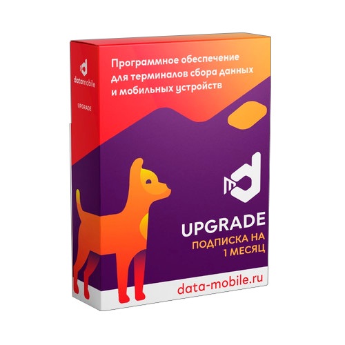 DataMobile Upgrade подписка на 1 месяц