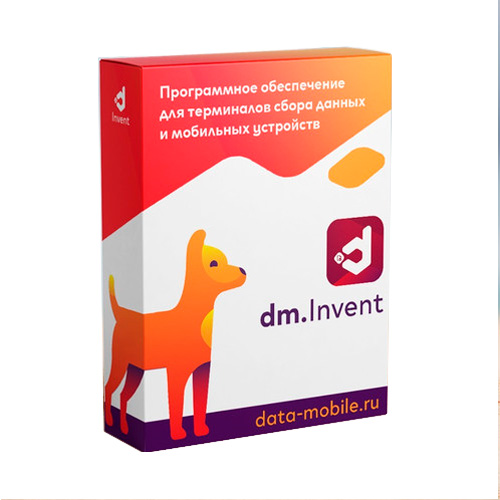 Подписка на обновления ПО DM.Основные средства для LifeTime