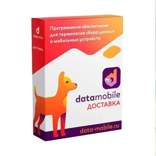 DataMobile Доставка (на 1, 6, 12 мес) DataMobile Доставка (на 1, 6, 12 мес)