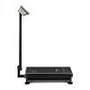 Mertech M-ER 335 ACLP "TURTLE" LED торговые весы Mertech M-ER 335 ACLP "TURTLE" LED торговые весы